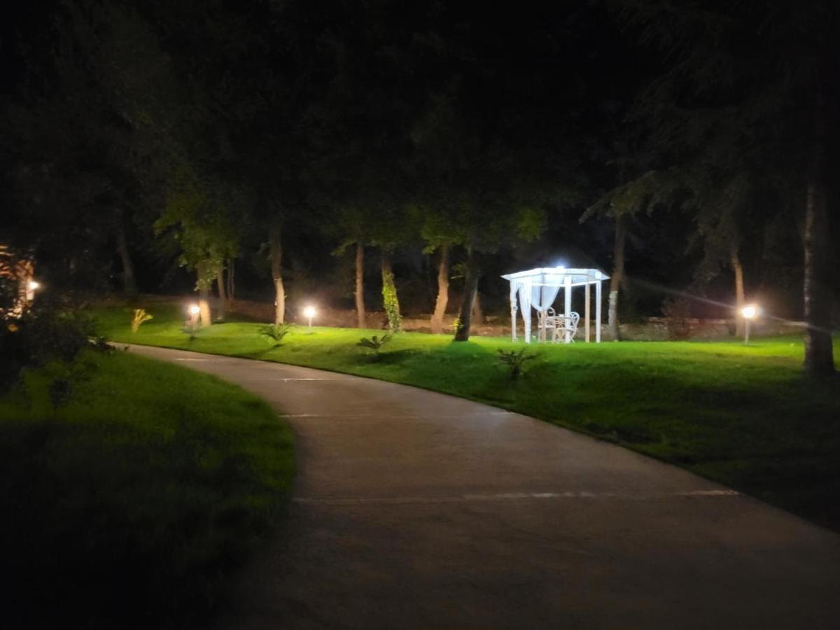 Casale Angela Διαμέρισμα Torrevecchia Teatina Εξωτερικό φωτογραφία
